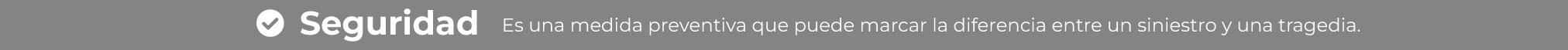 segurir